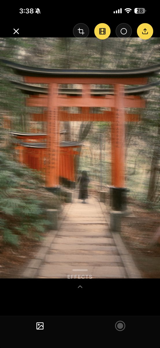 torii gates with the analog kodak-gold filter applied