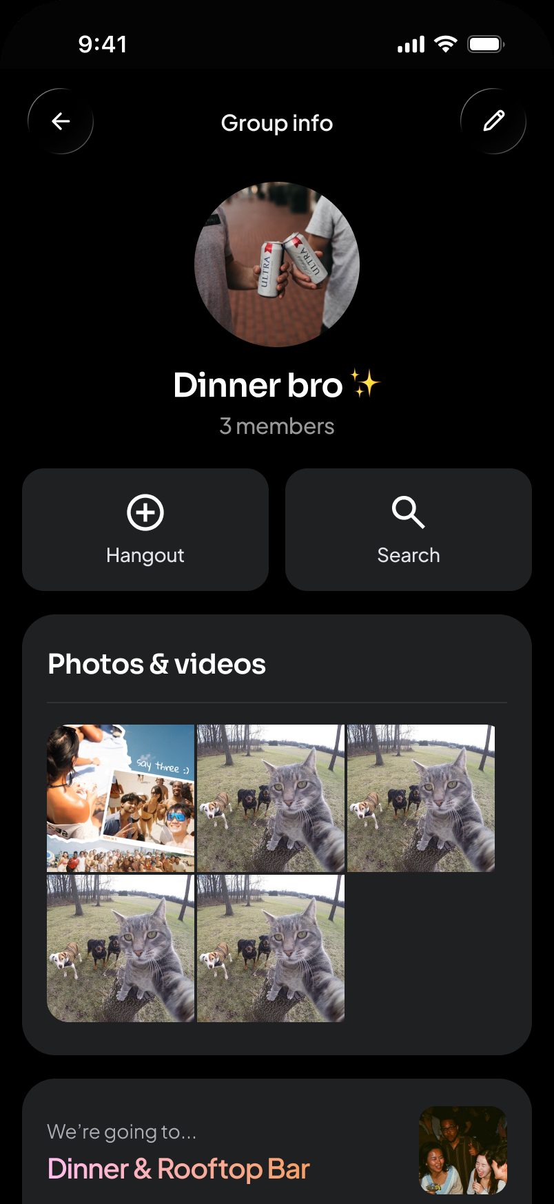 app design — a formed friend group with shared photos, next plans and chat